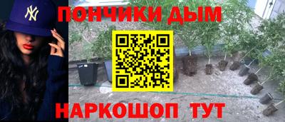 прущие грибы Шахты