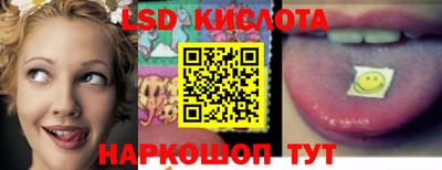 прущие грибы Шахты