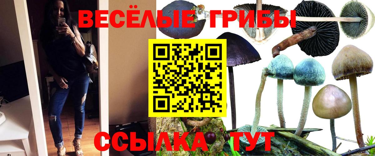 Белово  где купить наркотик  Вход с VPN  Псилоцибиновые грибы Cubensis 