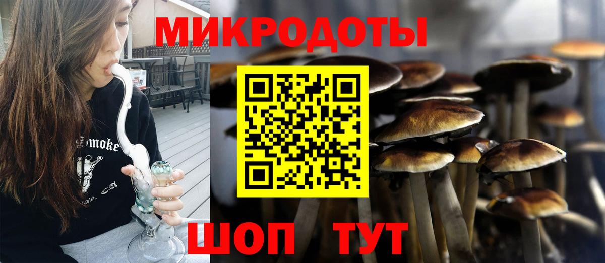 Псилоцибиновые грибы ЛСД Белово